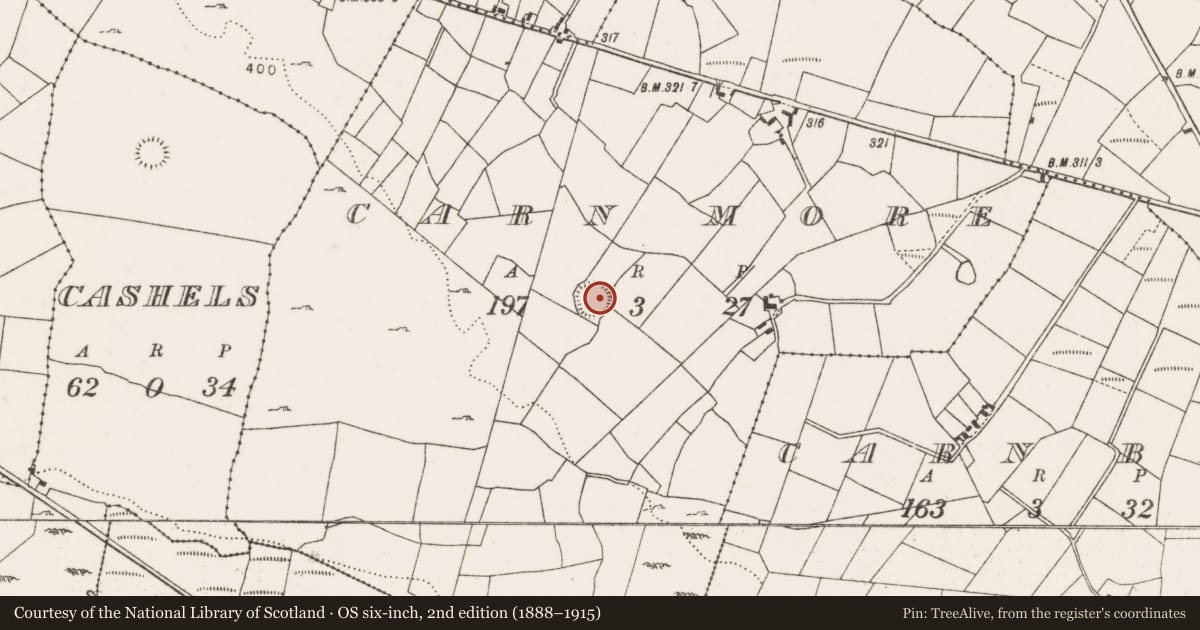 Ordnance Survey six-inch map, 2nd edition (1888–1915) covering the location of Ringfort - rath, Carn More, County Mayo, with a pin at the register's coordinates