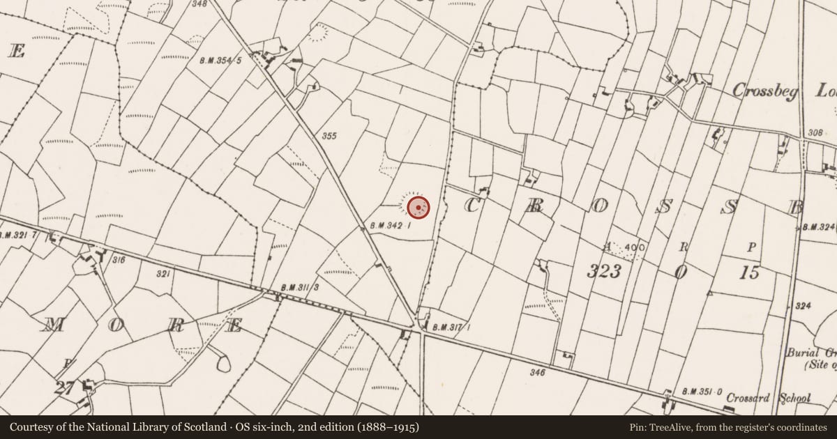 Ordnance Survey six-inch map, 2nd edition (1888–1915) covering the location of Ringfort - rath, Cartron North, County Mayo, with a pin at the register's coordinates