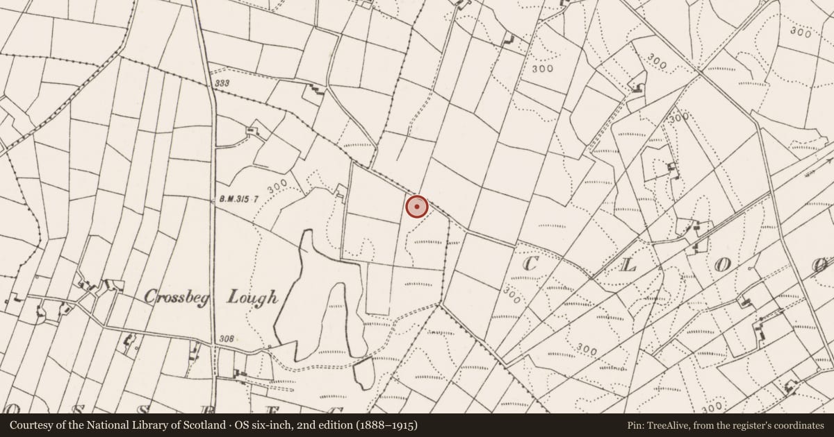 Ordnance Survey six-inch map, 2nd edition (1888–1915) covering the location of Barrow - ring-barrow, Crossbeg, County Mayo, with a pin at the register's coordinates