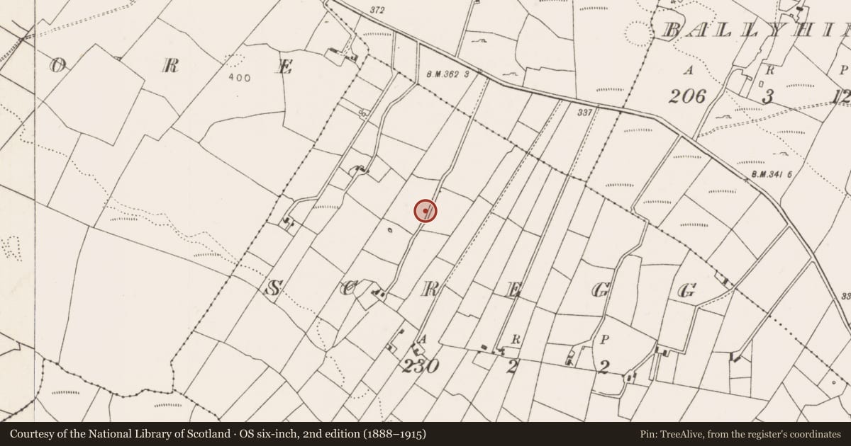 Ordnance Survey six-inch map, 2nd edition (1888–1915) covering the location of Enclosure, Scregg (Costello By., Aghamore Par.), County Mayo, with a pin at the register's coordinates