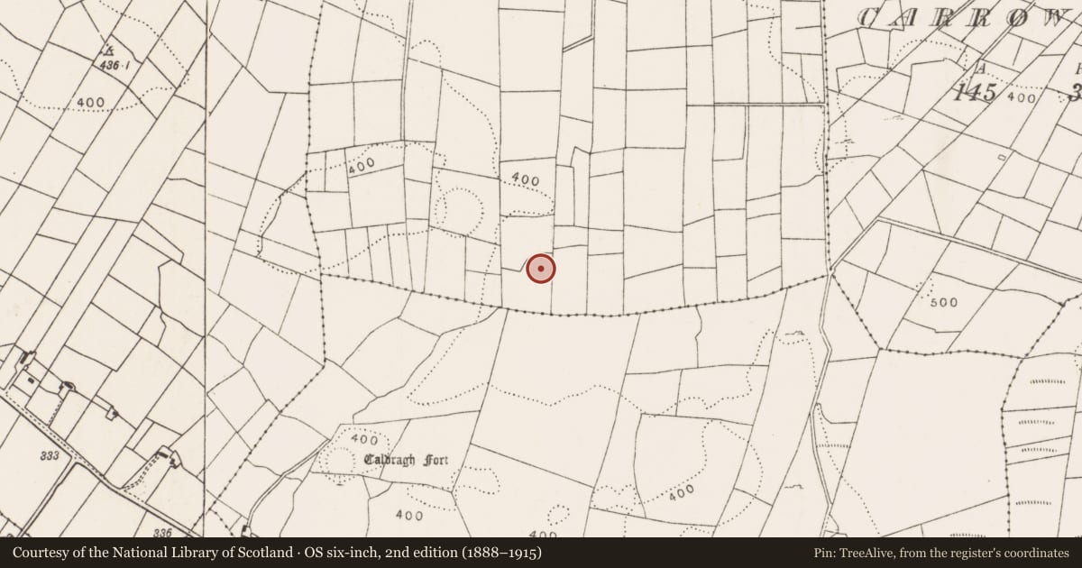Ordnance Survey six-inch map, 2nd edition (1888–1915) covering the location of Field boundary, Carrowbaun, County Mayo, with a pin at the register's coordinates