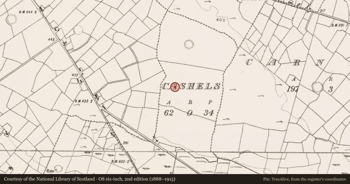Ordnance Survey six-inch map, 2nd edition (1888–1915) covering the location of Ringfort - cashel, Cashels, County Mayo, with a pin at the register's coordinates