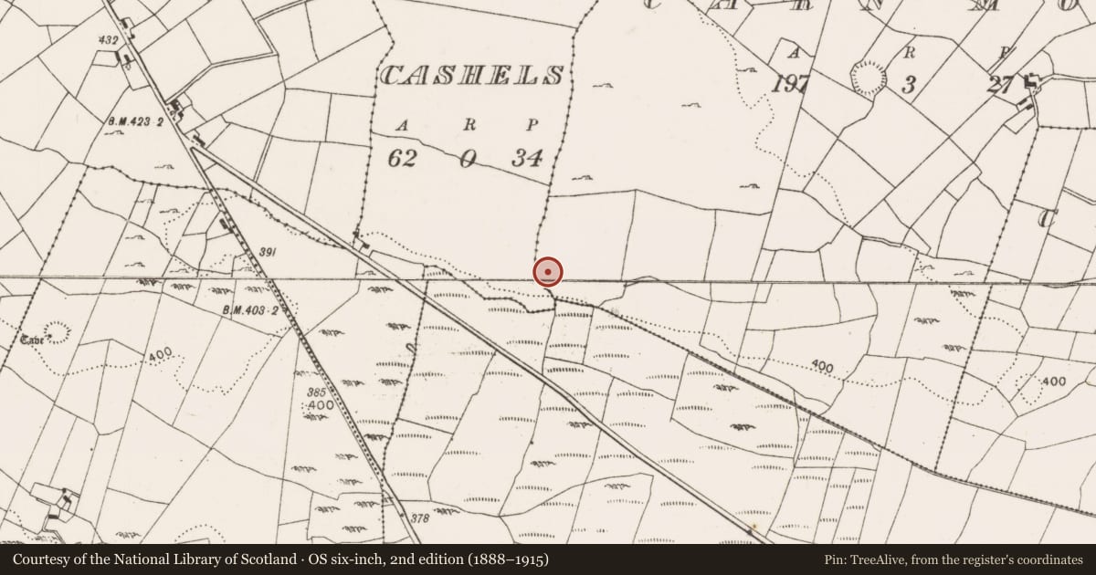 Ordnance Survey six-inch map, 2nd edition (1888–1915) covering the location of Ringfort - cashel, Carn More, Cashels, County Mayo, with a pin at the register's coordinates