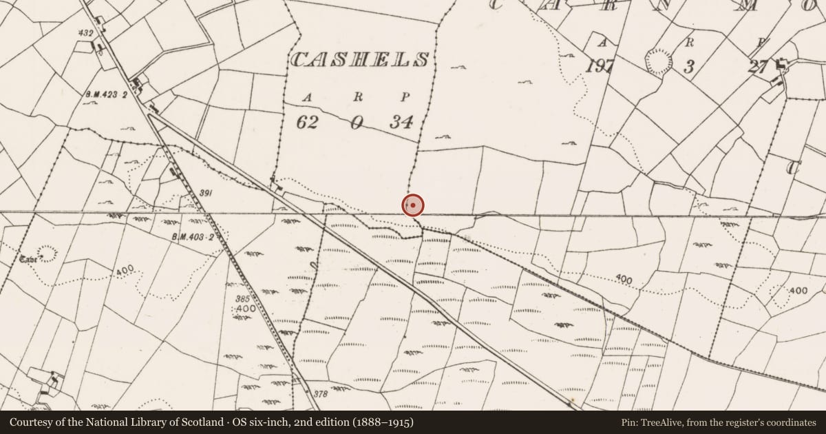 Ordnance Survey six-inch map, 2nd edition (1888–1915) covering the location of Hut site, Carn More, County Mayo, with a pin at the register's coordinates