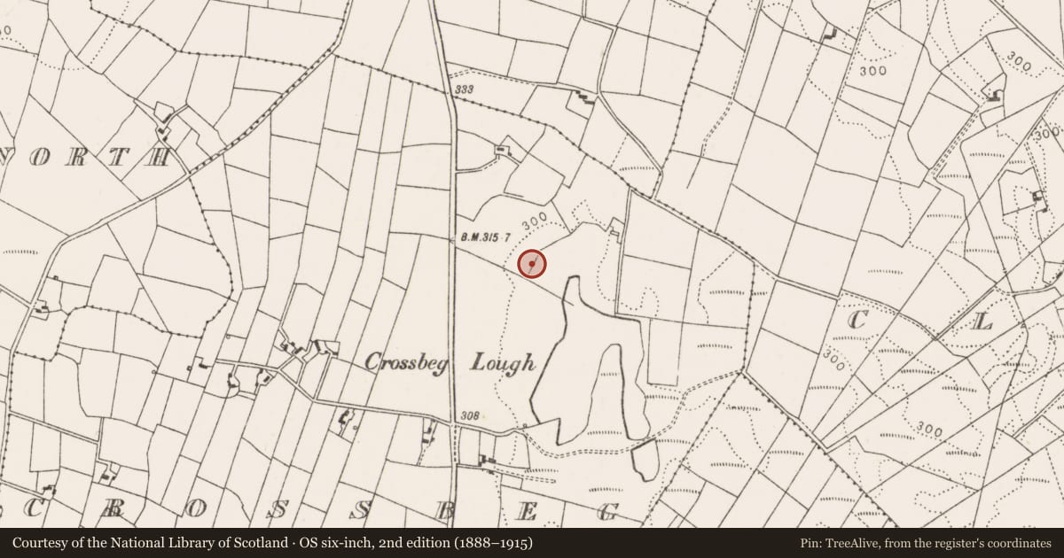 Ordnance Survey six-inch map, 2nd edition (1888–1915) covering the location of Mound, Crossbeg, County Mayo, with a pin at the register's coordinates