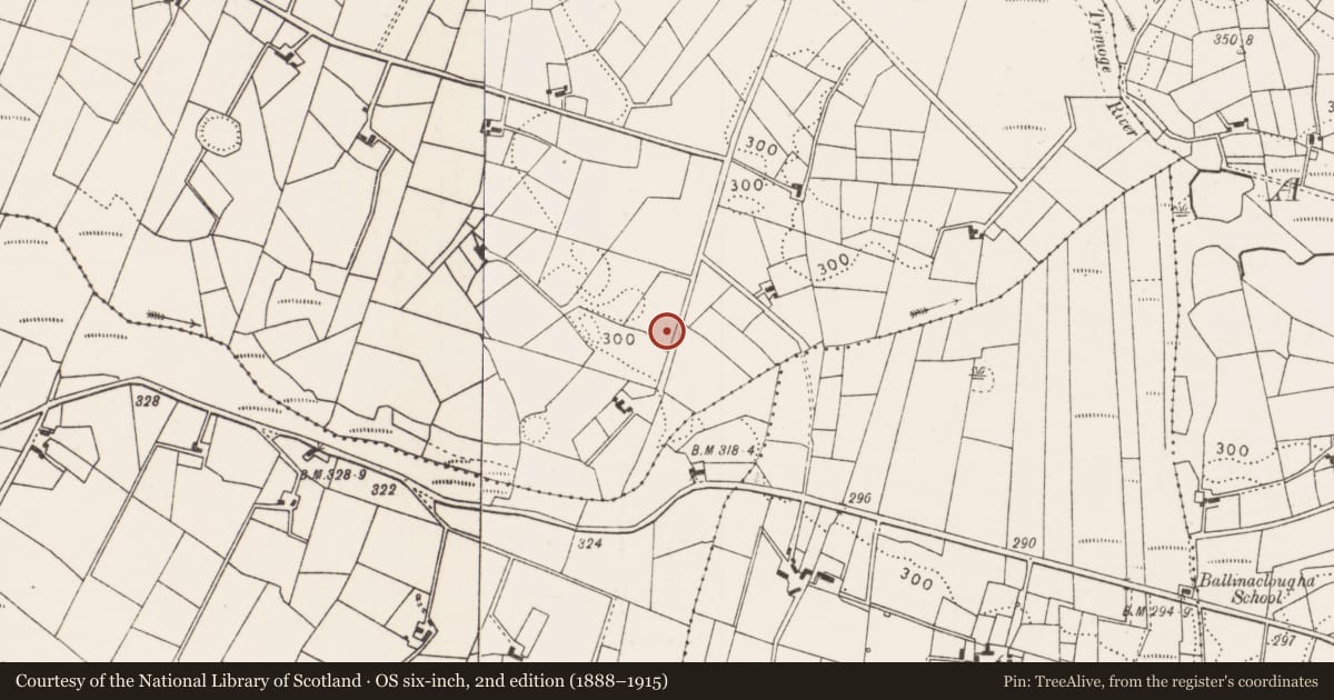 Ordnance Survey six-inch map, 2nd edition (1888–1915) covering the location of Ringfort - rath, Falleighter, County Mayo, with a pin at the register's coordinates
