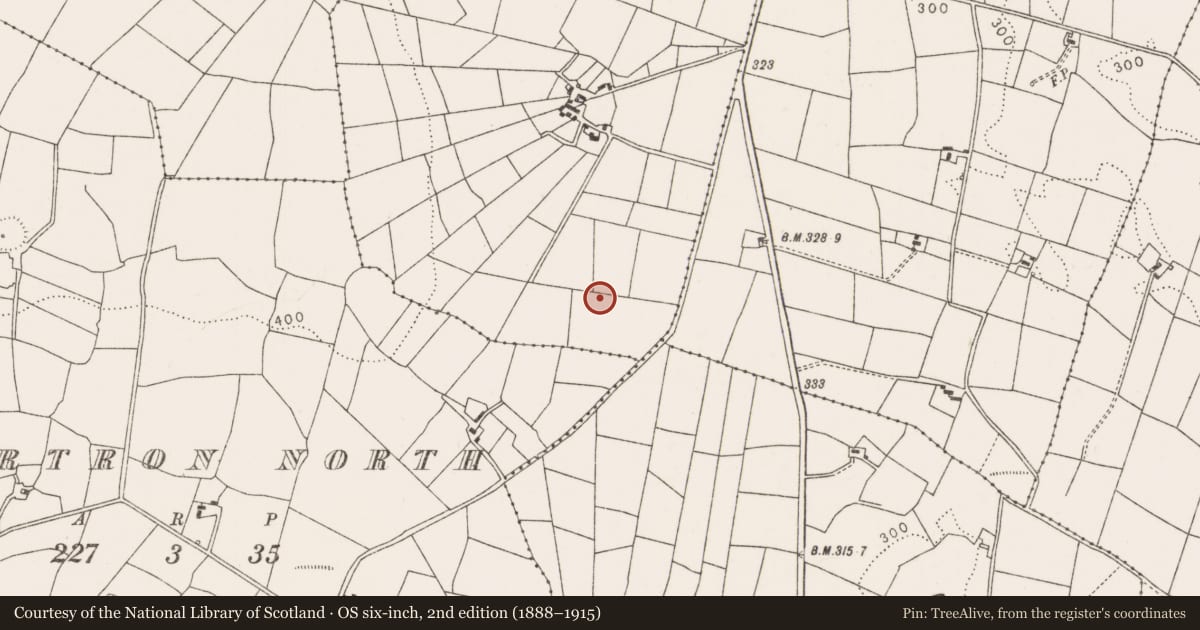 Ordnance Survey six-inch map, 2nd edition (1888–1915) covering the location of Megalithic structure, Tooreen, County Mayo, with a pin at the register's coordinates