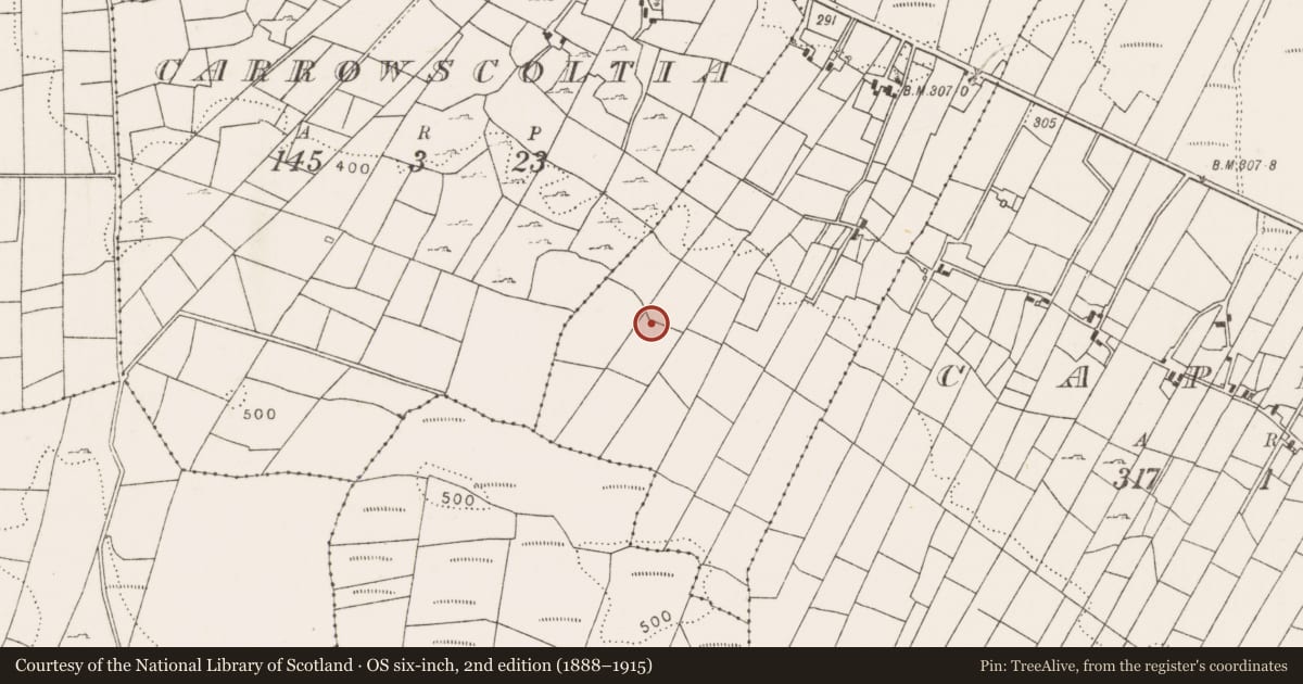 Ordnance Survey six-inch map, 2nd edition (1888–1915) covering the location of Burial, Scardaun, County Mayo, with a pin at the register's coordinates
