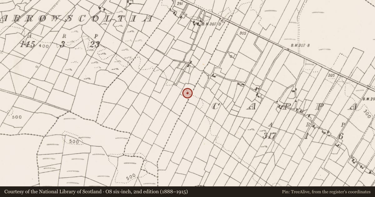 Ordnance Survey six-inch map, 2nd edition (1888–1915) covering the location of Hut site, Scardaun, County Mayo, with a pin at the register's coordinates