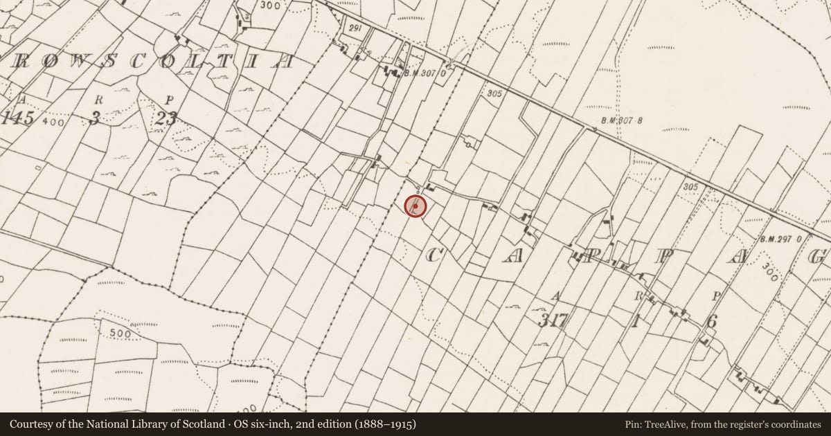 Ordnance Survey six-inch map, 2nd edition (1888–1915) covering the location of Enclosure, Cappagh, County Mayo, with a pin at the register's coordinates