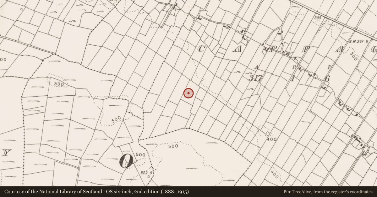Ordnance Survey six-inch map, 2nd edition (1888–1915) covering the location of Barrow - ring-barrow, Cappagh, County Mayo, with a pin at the register's coordinates