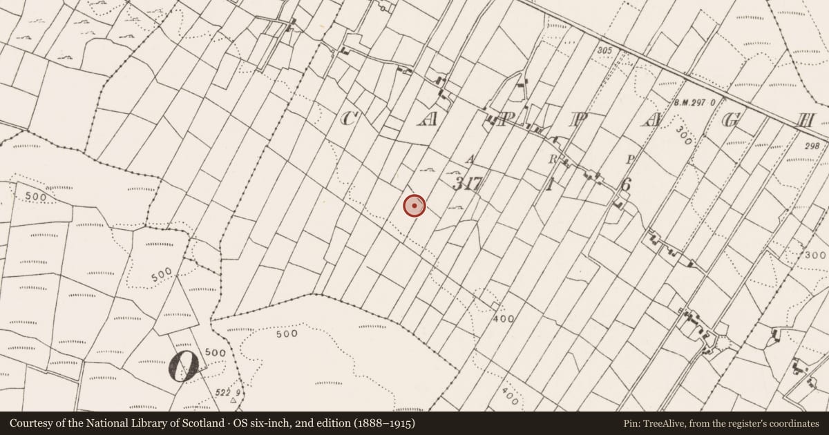 Ordnance Survey six-inch map, 2nd edition (1888–1915) covering the location of Hut site, Cappagh, County Mayo, with a pin at the register's coordinates