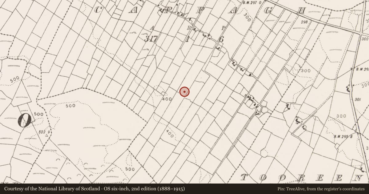 Ordnance Survey six-inch map, 2nd edition (1888–1915) covering the location of Standing stone, Cappagh, County Mayo, with a pin at the register's coordinates