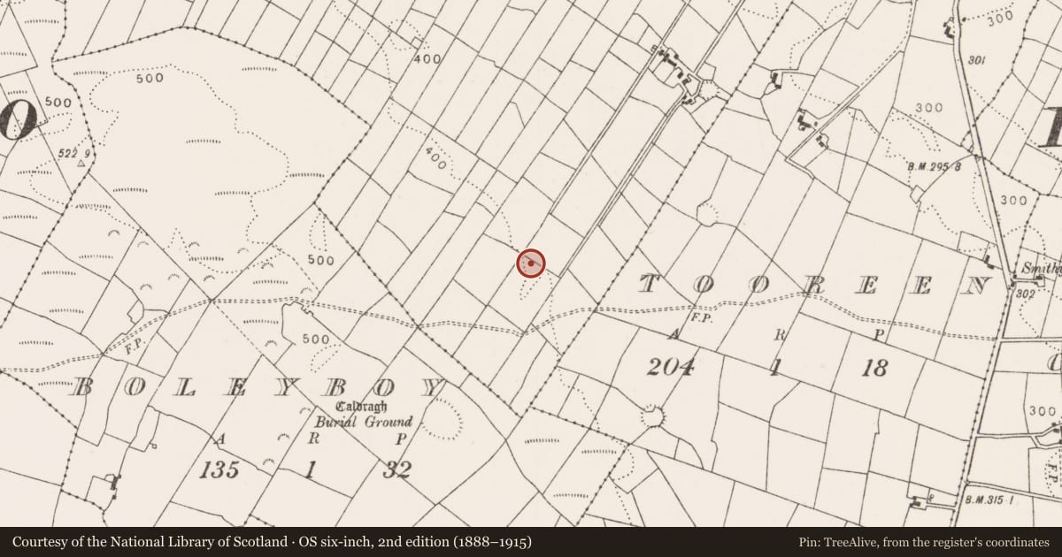 Ordnance Survey six-inch map, 2nd edition (1888–1915) covering the location of Structure, Cappagh, County Mayo, with a pin at the register's coordinates