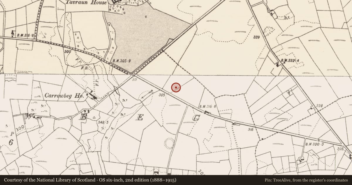 Ordnance Survey six-inch map, 2nd edition (1888–1915) covering the location of Fulacht fia, Carrowbeg, County Mayo, with a pin at the register's coordinates