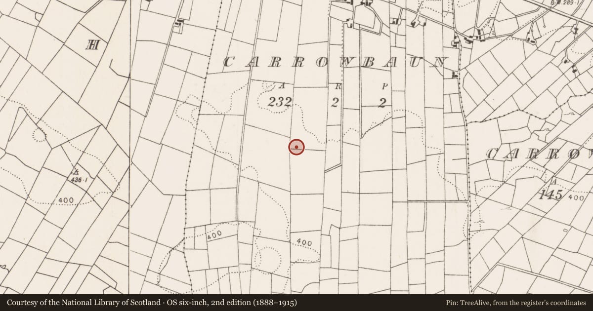 Ordnance Survey six-inch map, 2nd edition (1888–1915) covering the location of Megalithic tomb - wedge tomb, Carrowbaun, County Mayo, with a pin at the register's coordinates