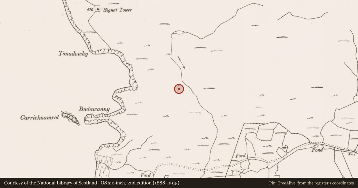 Ordnance Survey six-inch map, 2nd edition (1888–1915) covering the location of Field system, Bunnamohaun, County Mayo, with a pin at the register's coordinates