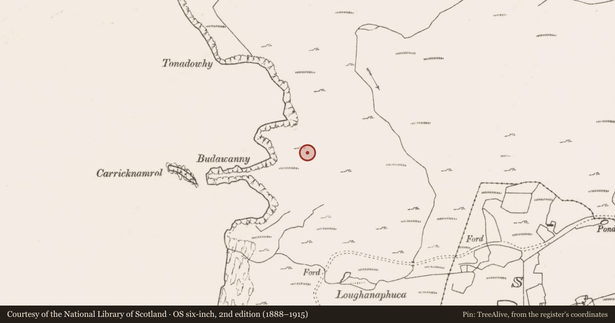 Ordnance Survey six-inch map, 2nd edition (1888–1915) covering the location of Hut site, Bunnamohaun, County Mayo, with a pin at the register's coordinates