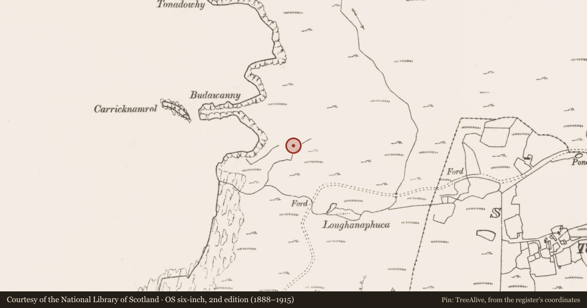 Ordnance Survey six-inch map, 2nd edition (1888–1915) covering the location of Hut site, Bunnamohaun, County Mayo, with a pin at the register's coordinates