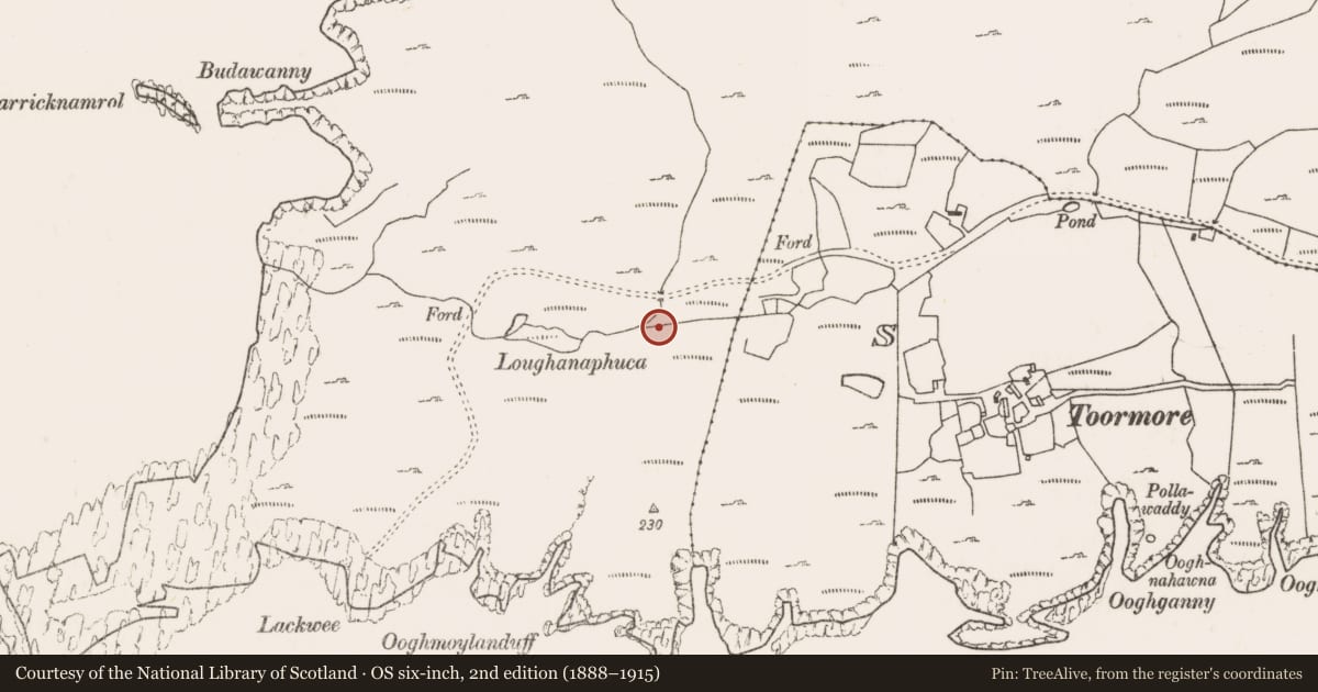 Ordnance Survey six-inch map, 2nd edition (1888–1915) covering the location of Hut site, Bunnamohaun, County Mayo, with a pin at the register's coordinates