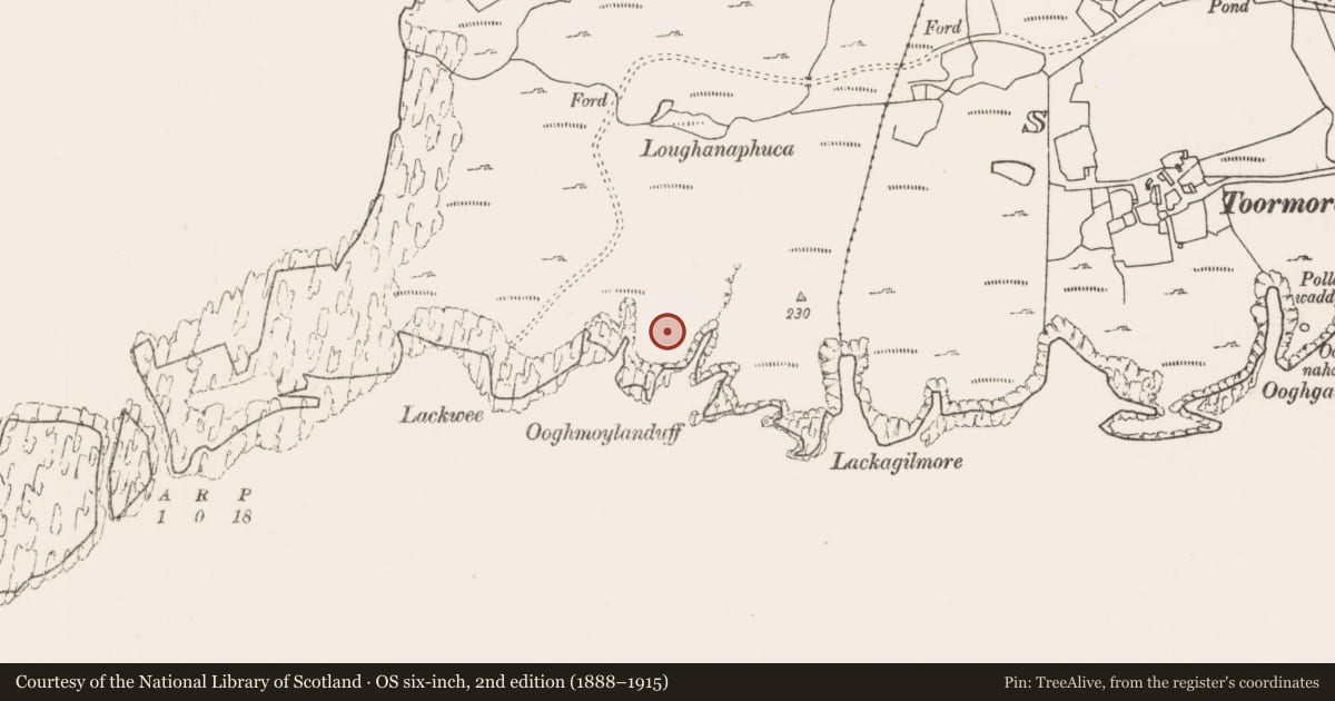 Ordnance Survey six-inch map, 2nd edition (1888–1915) covering the location of Hut site, Bunnamohaun, County Mayo, with a pin at the register's coordinates