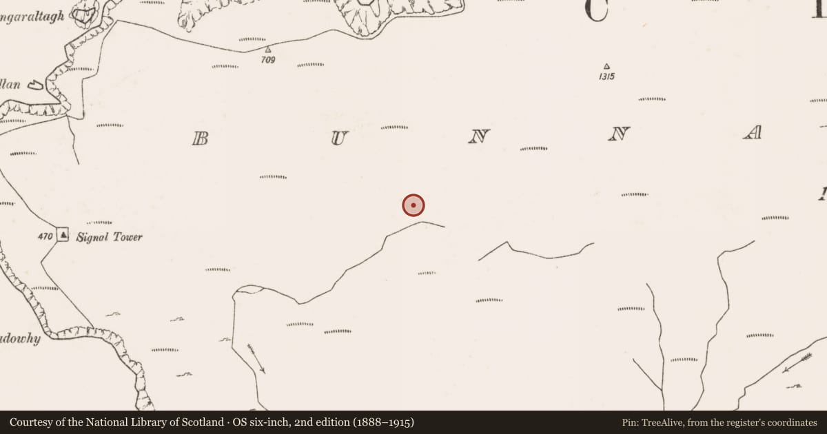 Ordnance Survey six-inch map, 2nd edition (1888–1915) covering the location of Hut site, Bunnamohaun, County Mayo, with a pin at the register's coordinates