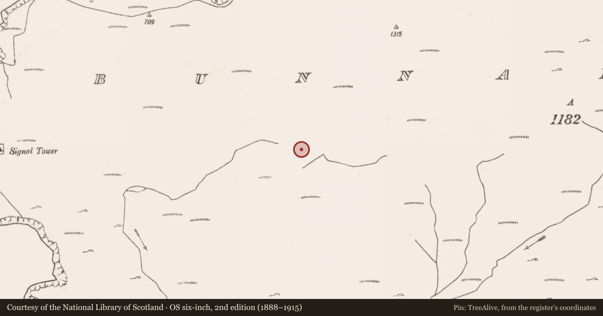 Ordnance Survey six-inch map, 2nd edition (1888–1915) covering the location of Hut site, Bunnamohaun, County Mayo, with a pin at the register's coordinates