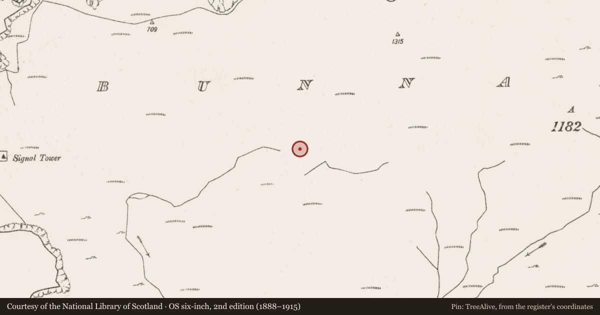 Ordnance Survey six-inch map, 2nd edition (1888–1915) covering the location of Booley hut, Bunnamohaun, County Mayo, with a pin at the register's coordinates