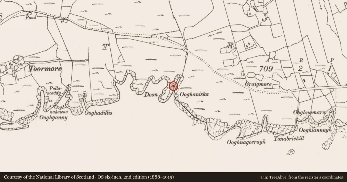 Ordnance Survey six-inch map, 2nd edition (1888–1915) covering the location of Hut site, Strake, County Mayo, with a pin at the register's coordinates