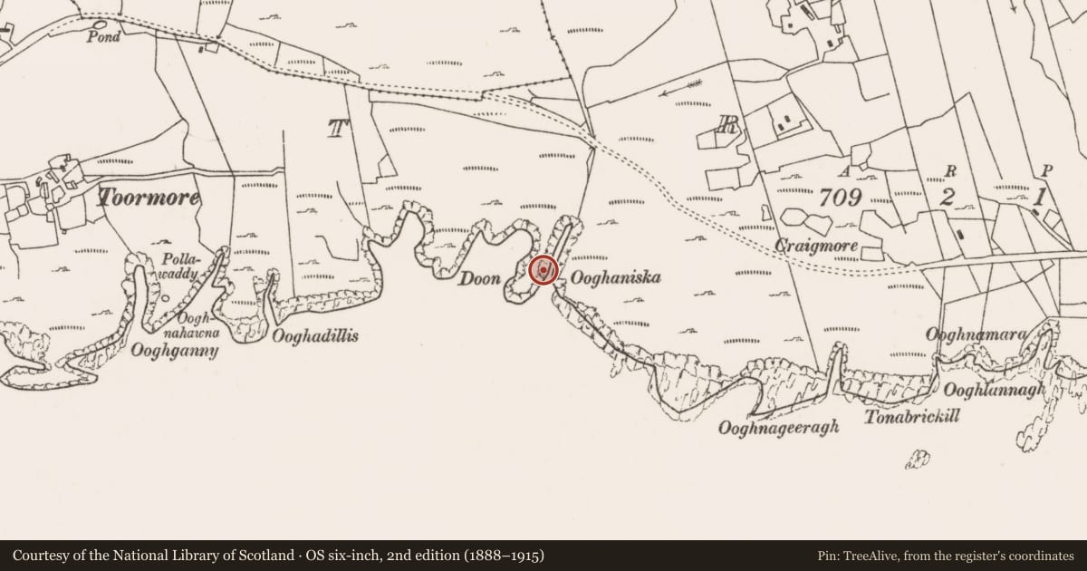 Ordnance Survey six-inch map, 2nd edition (1888–1915) covering the location of Hut site, Strake, County Mayo, with a pin at the register's coordinates
