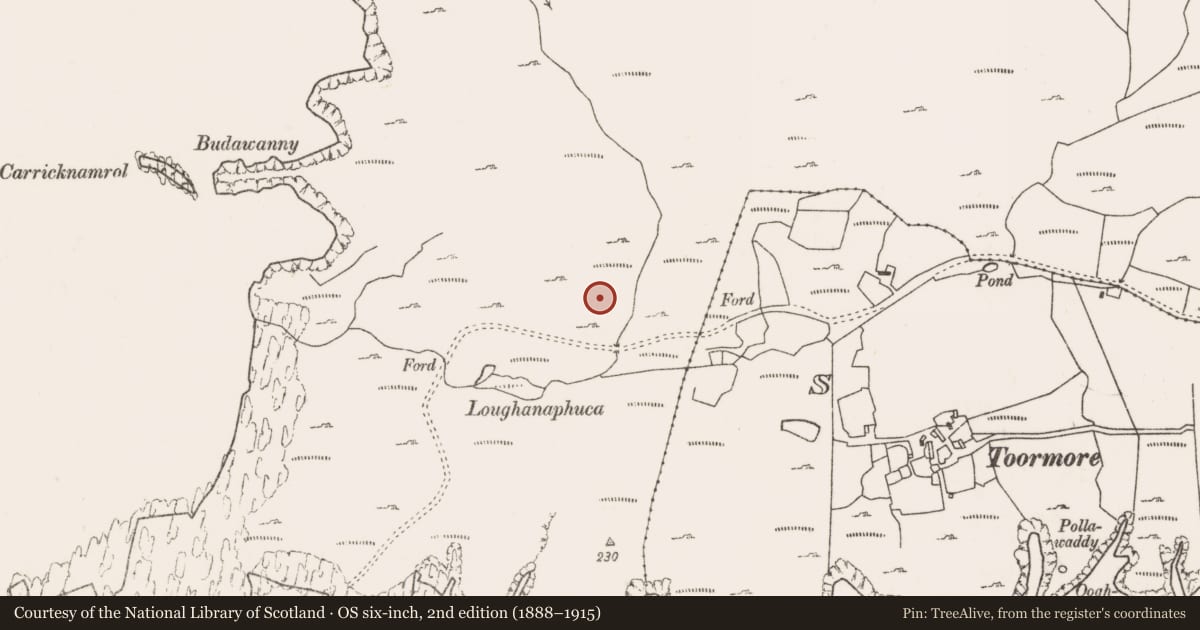 Ordnance Survey six-inch map, 2nd edition (1888–1915) covering the location of Rock art, Bunnamohaun, County Mayo, with a pin at the register's coordinates