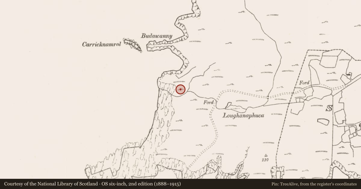 Ordnance Survey six-inch map, 2nd edition (1888–1915) covering the location of House - indeterminate date, Bunnamohaun, County Mayo, with a pin at the register's coordinates