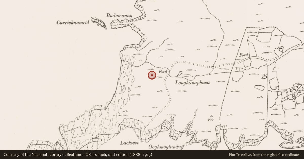 Ordnance Survey six-inch map, 2nd edition (1888–1915) covering the location of Hut site, Bunnamohaun, County Mayo, with a pin at the register's coordinates