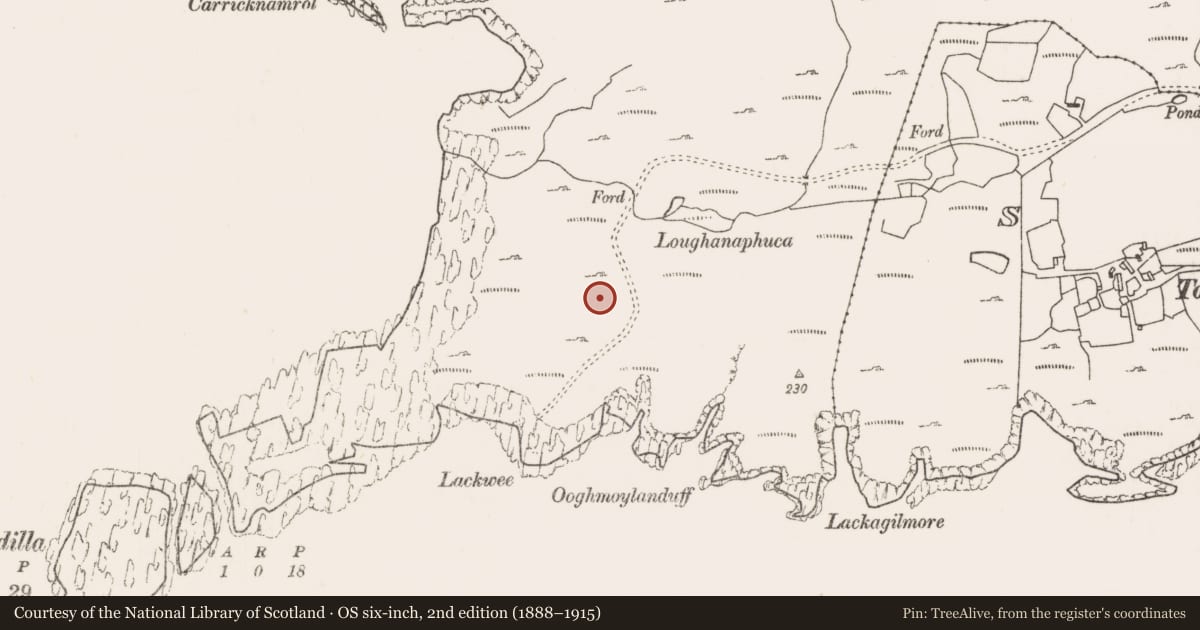 Ordnance Survey six-inch map, 2nd edition (1888–1915) covering the location of Hut site, Bunnamohaun, County Mayo, with a pin at the register's coordinates