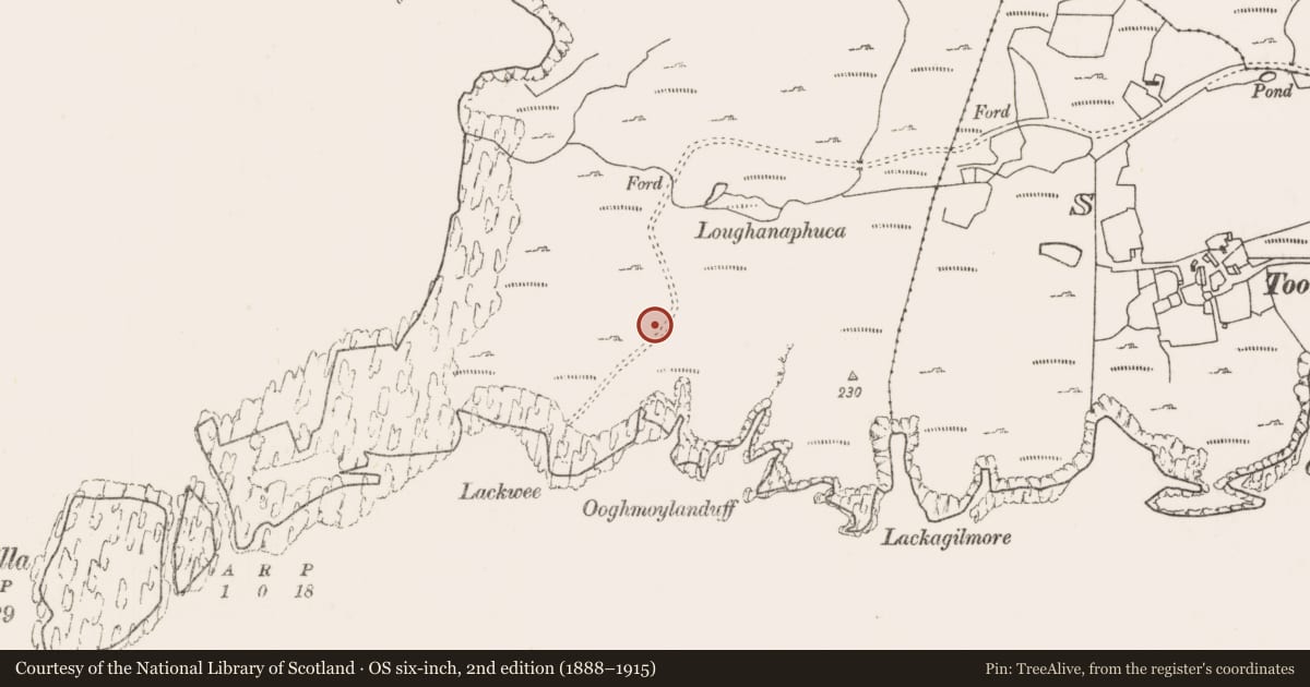 Ordnance Survey six-inch map, 2nd edition (1888–1915) covering the location of Hut site, Bunnamohaun, County Mayo, with a pin at the register's coordinates