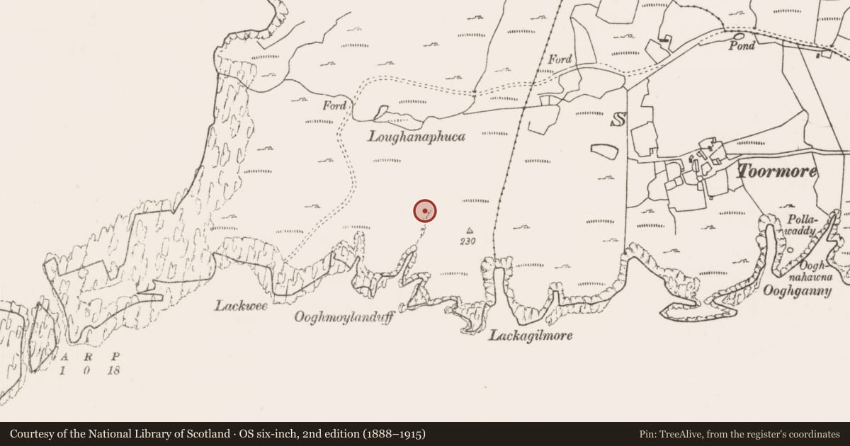 Ordnance Survey six-inch map, 2nd edition (1888–1915) covering the location of House - indeterminate date, Bunnamohaun, County Mayo, with a pin at the register's coordinates