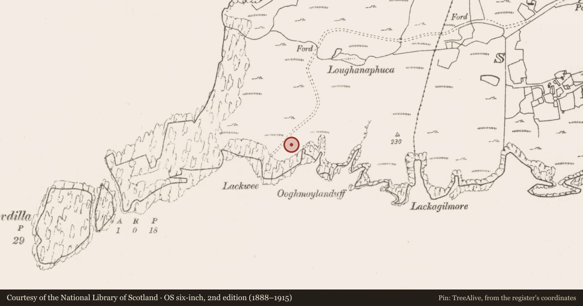 Ordnance Survey six-inch map, 2nd edition (1888–1915) covering the location of Hut site, Bunnamohaun, County Mayo, with a pin at the register's coordinates