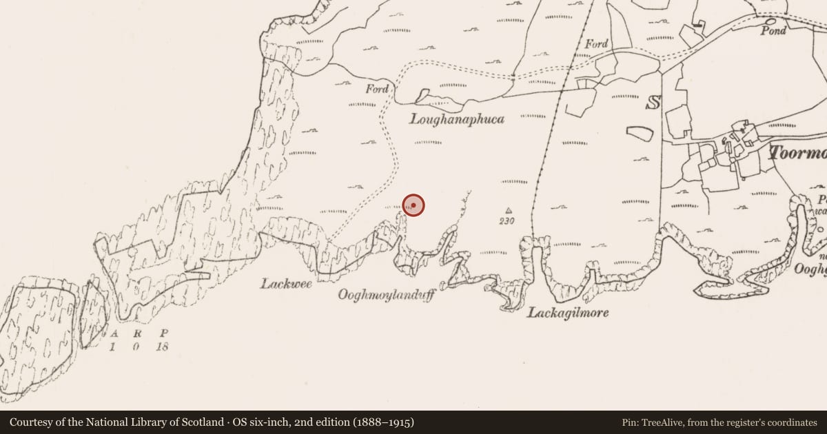 Ordnance Survey six-inch map, 2nd edition (1888–1915) covering the location of Structure, Bunnamohaun, County Mayo, with a pin at the register's coordinates
