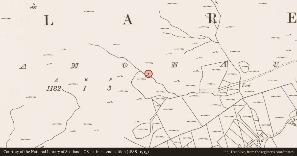 Ordnance Survey six-inch map, 2nd edition (1888–1915) covering the location of Hut site, Bunnamohaun, County Mayo, with a pin at the register's coordinates
