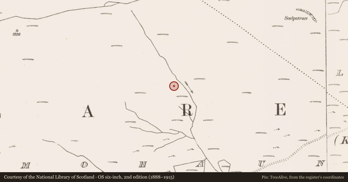 Ordnance Survey six-inch map, 2nd edition (1888–1915) covering the location of Field boundary, Bunnamohaun, County Mayo, with a pin at the register's coordinates