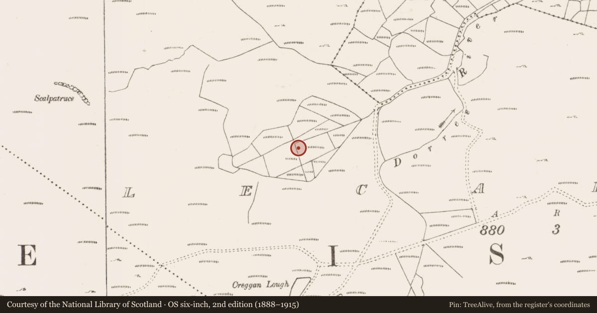Ordnance Survey six-inch map, 2nd edition (1888–1915) covering the location of Fulacht fia, Lecarrow, County Mayo, with a pin at the register's coordinates