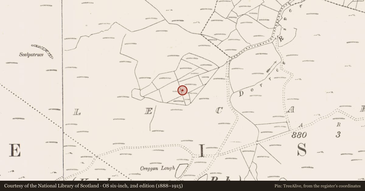 Ordnance Survey six-inch map, 2nd edition (1888–1915) covering the location of Fulacht fia, Lecarrow, County Mayo, with a pin at the register's coordinates