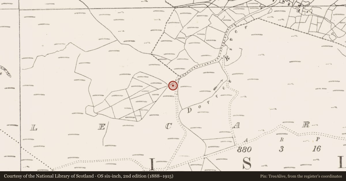Ordnance Survey six-inch map, 2nd edition (1888–1915) covering the location of Fulacht fia, Lecarrow, County Mayo, with a pin at the register's coordinates