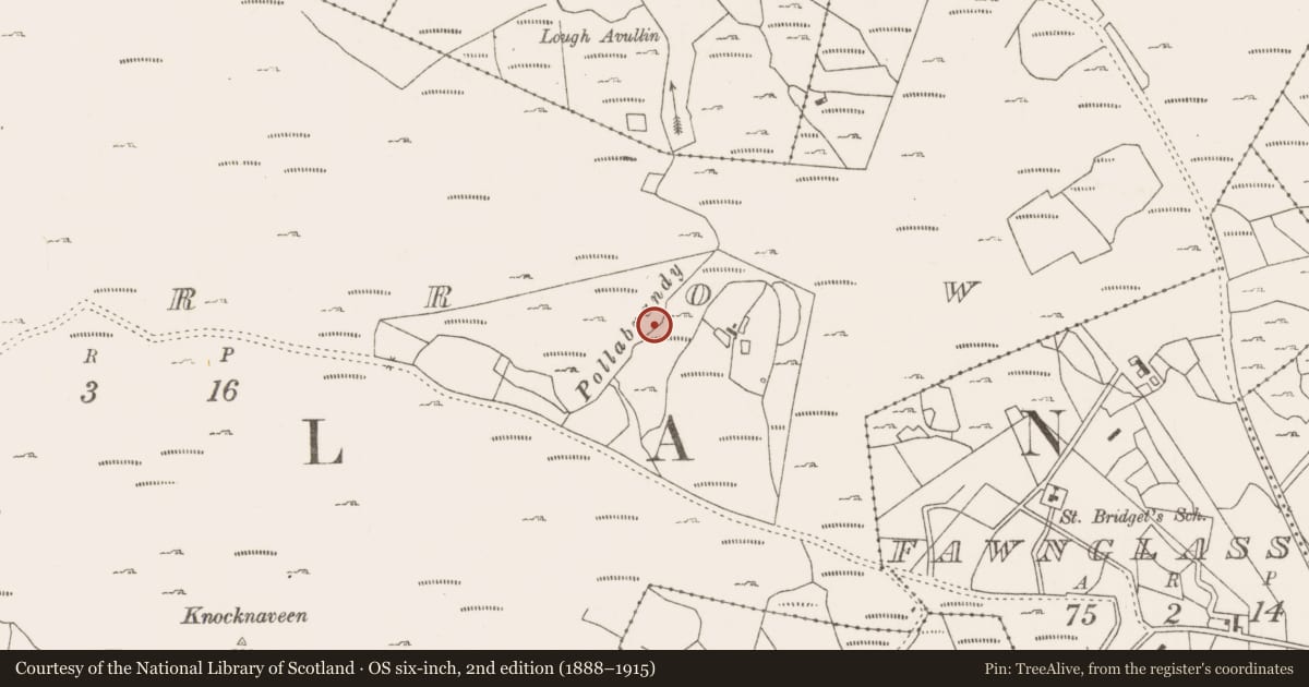 Ordnance Survey six-inch map, 2nd edition (1888–1915) covering the location of Fulacht fia, Lecarrow, County Mayo, with a pin at the register's coordinates