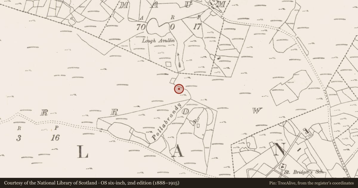 Ordnance Survey six-inch map, 2nd edition (1888–1915) covering the location of Fulacht fia, Lecarrow, County Mayo, with a pin at the register's coordinates