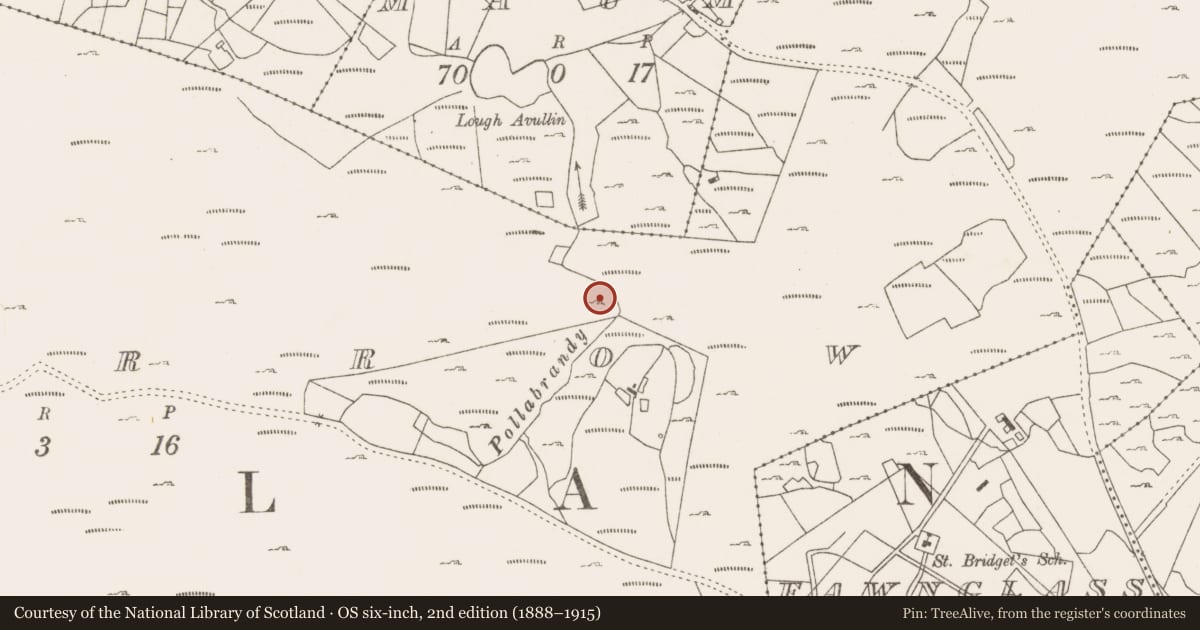 Ordnance Survey six-inch map, 2nd edition (1888–1915) covering the location of Fulacht fia, Lecarrow, County Mayo, with a pin at the register's coordinates