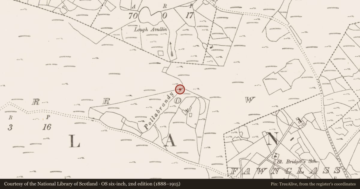 Ordnance Survey six-inch map, 2nd edition (1888–1915) covering the location of Fulacht fia, Lecarrow, County Mayo, with a pin at the register's coordinates