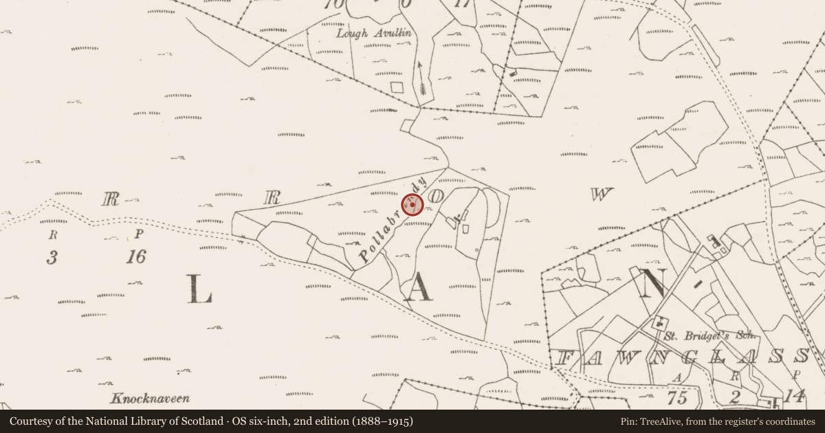 Ordnance Survey six-inch map, 2nd edition (1888–1915) covering the location of Fulacht fia, Lecarrow, County Mayo, with a pin at the register's coordinates