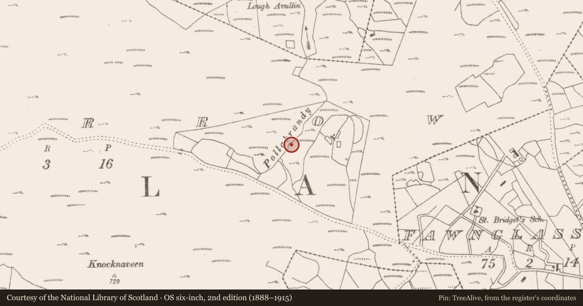Ordnance Survey six-inch map, 2nd edition (1888–1915) covering the location of Fulacht fia, Lecarrow, County Mayo, with a pin at the register's coordinates