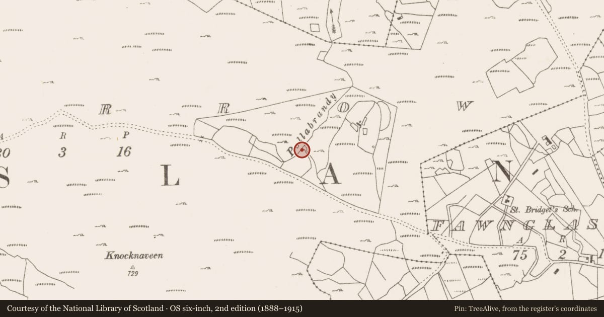 Ordnance Survey six-inch map, 2nd edition (1888–1915) covering the location of Fulacht fia, Lecarrow, County Mayo, with a pin at the register's coordinates